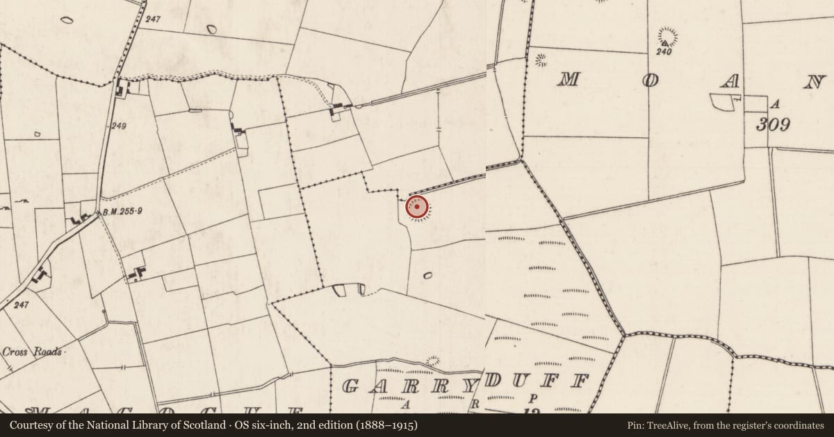 Ordnance Survey six-inch map, 2nd edition (1888–1915) covering the location of Earthwork, Garryduff, County Limerick, with a pin at the register's coordinates