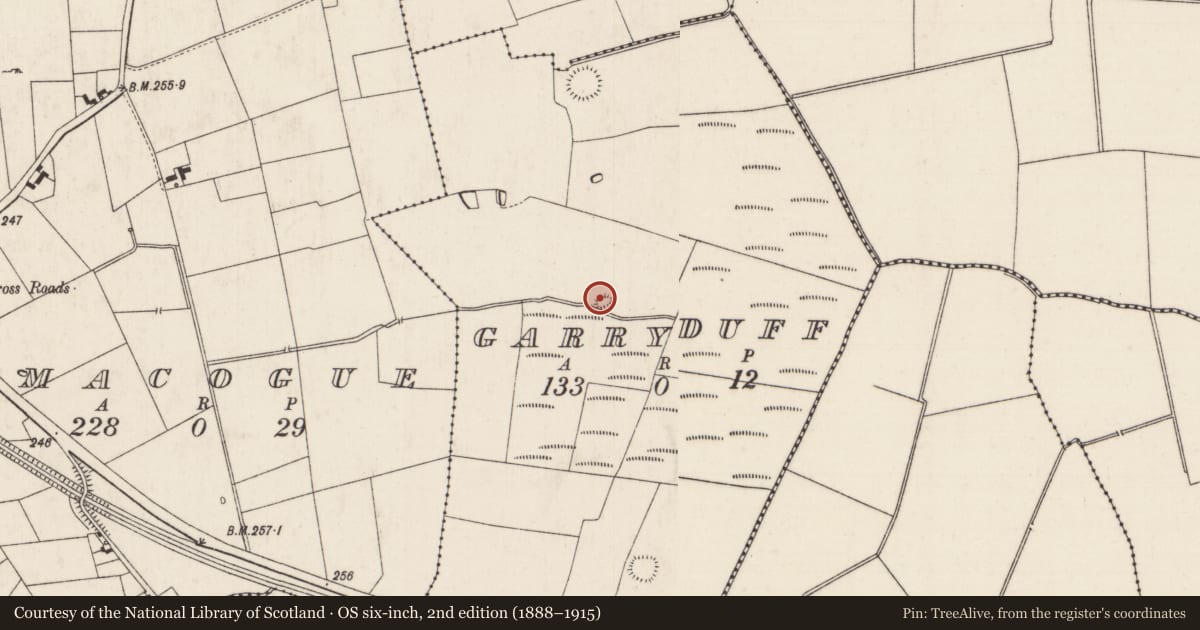 Ordnance Survey six-inch map, 2nd edition (1888–1915) covering the location of Earthwork, Garryduff, County Limerick, with a pin at the register's coordinates