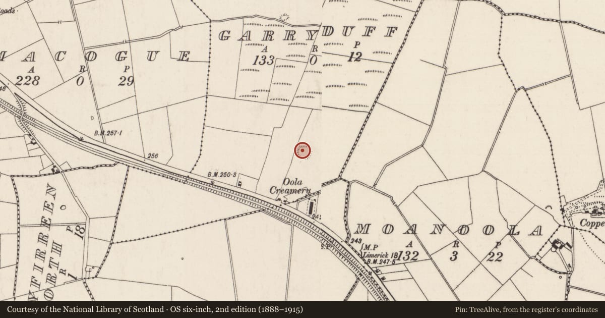 Ordnance Survey six-inch map, 2nd edition (1888–1915) covering the location of Ringfort - rath, Garryduff, County Limerick, with a pin at the register's coordinates