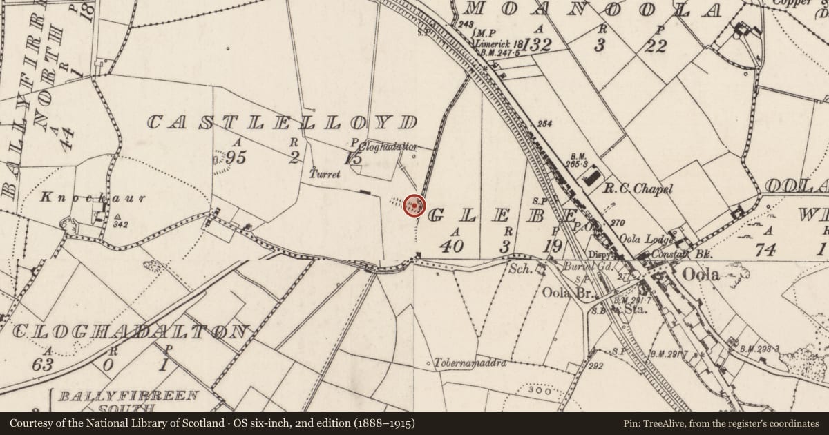 Ordnance Survey six-inch map, 2nd edition (1888–1915) covering the location of Designed landscape - avenue, Castlelloyd, County Limerick, with a pin at the register's coordinates