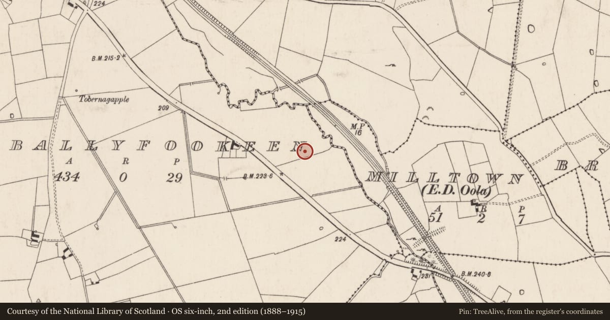 Ordnance Survey six-inch map, 2nd edition (1888–1915) covering the location of Barrow - ring-barrow, Knockballyfookeen, County Limerick, with a pin at the register's coordinates