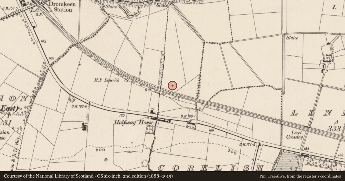 Ordnance Survey six-inch map, 2nd edition (1888–1915) covering the location of Enclosure, Corelish East, County Limerick, with a pin at the register's coordinates