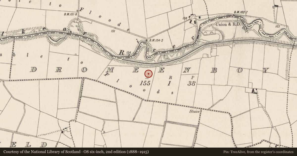 Ordnance Survey six-inch map, 2nd edition (1888–1915) covering the location of Barrow - ring-barrow, Dromeenboy, County Limerick, with a pin at the register's coordinates