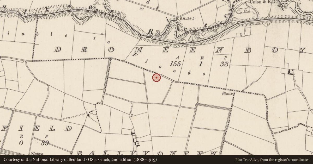 Ordnance Survey six-inch map, 2nd edition (1888–1915) covering the location of Enclosure - large enclosure, Ballyvoneen, County Limerick, with a pin at the register's coordinates