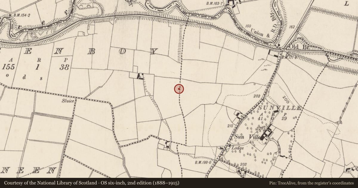 Ordnance Survey six-inch map, 2nd edition (1888–1915) covering the location of Barrow - ditch barrow, Dromeenboy, County Limerick, with a pin at the register's coordinates