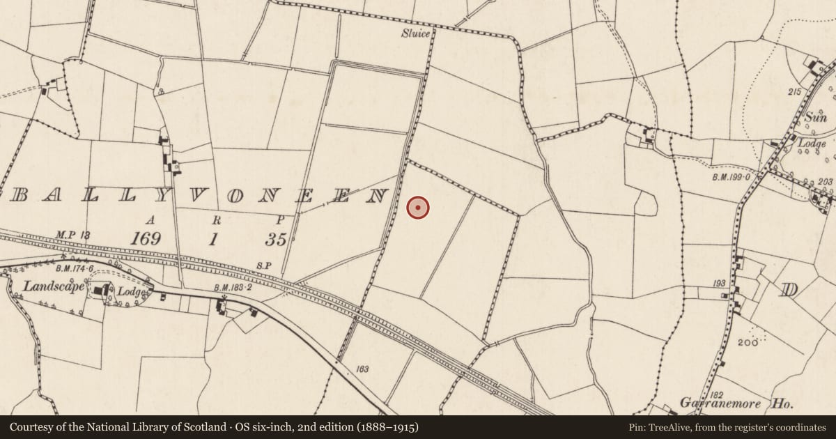 Ordnance Survey six-inch map, 2nd edition (1888–1915) covering the location of Enclosure, Lisheen, County Limerick, with a pin at the register's coordinates