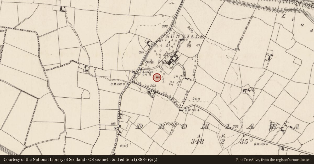 Ordnance Survey six-inch map, 2nd edition (1888–1915) covering the location of Enclosure, Sunville, County Limerick, with a pin at the register's coordinates
