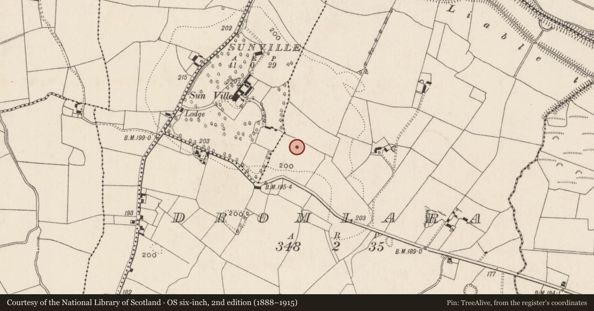 Ordnance Survey six-inch map, 2nd edition (1888–1915) covering the location of Enclosure, Dromlara, County Limerick, with a pin at the register's coordinates