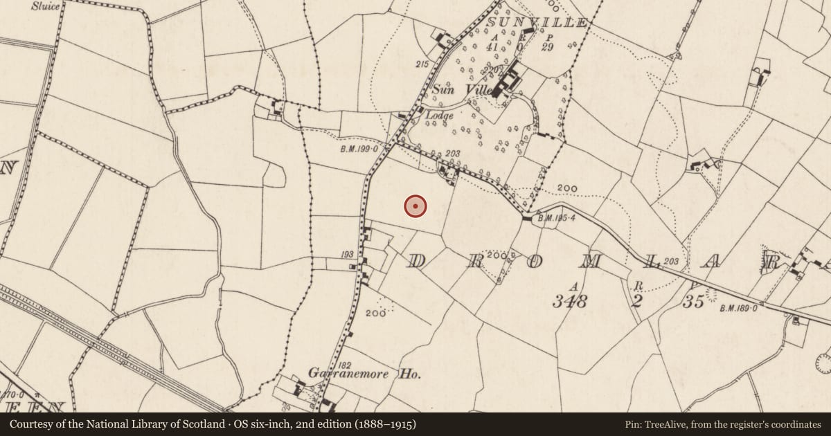 Ordnance Survey six-inch map, 2nd edition (1888–1915) covering the location of Moated site, Dromlara, County Limerick, with a pin at the register's coordinates