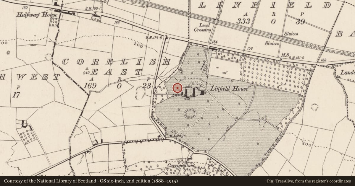 Ordnance Survey six-inch map, 2nd edition (1888–1915) covering the location of Enclosure, Linfield, County Limerick, with a pin at the register's coordinates