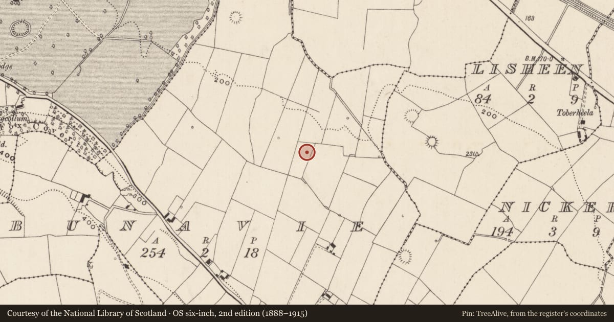Ordnance Survey six-inch map, 2nd edition (1888–1915) covering the location of Barrow - ring-barrow, Bunavie, County Limerick, with a pin at the register's coordinates