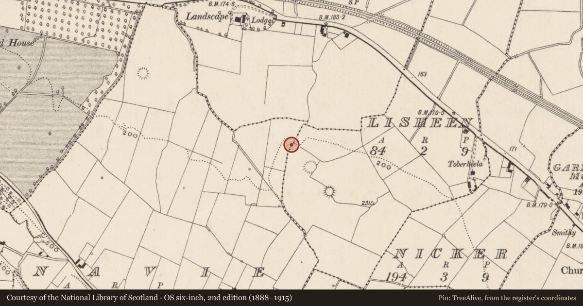 Ordnance Survey six-inch map, 2nd edition (1888–1915) covering the location of Barrow - ring-barrow, Bunavie, County Limerick, with a pin at the register's coordinates