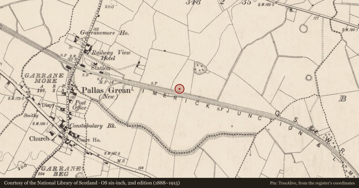 Ordnance Survey six-inch map, 2nd edition (1888–1915) covering the location of Enclosure, Dromlara, County Limerick, with a pin at the register's coordinates
