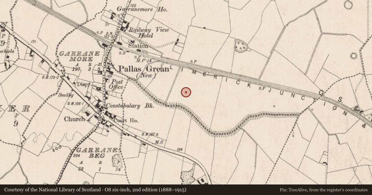 Ordnance Survey six-inch map, 2nd edition (1888–1915) covering the location of Enclosure, Dromlara, County Limerick, with a pin at the register's coordinates