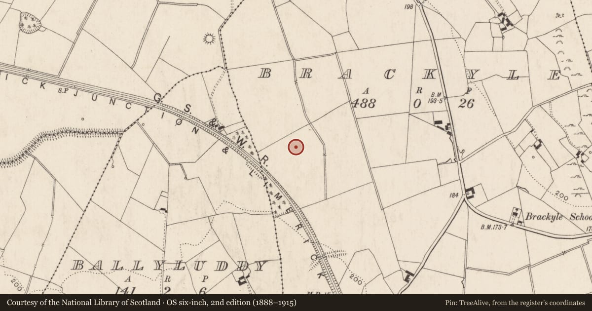 Ordnance Survey six-inch map, 2nd edition (1888–1915) covering the location of Barrow - ring-barrow, Brackyle, County Limerick, with a pin at the register's coordinates