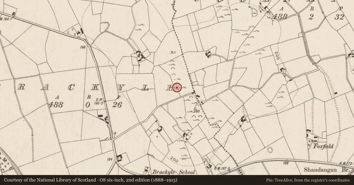 Ordnance Survey six-inch map, 2nd edition (1888–1915) covering the location of Enclosure, Brackyle, County Limerick, with a pin at the register's coordinates