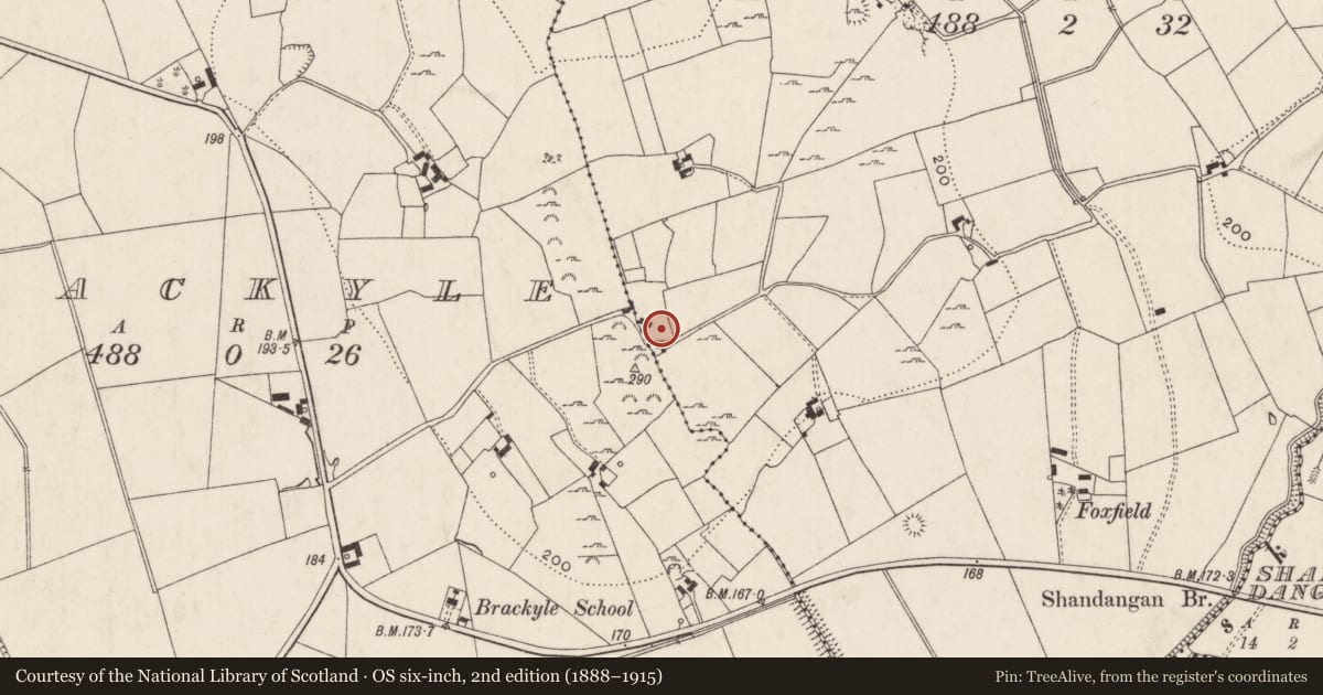 Ordnance Survey six-inch map, 2nd edition (1888–1915) covering the location of Enclosure, Coolnapisha, County Limerick, with a pin at the register's coordinates