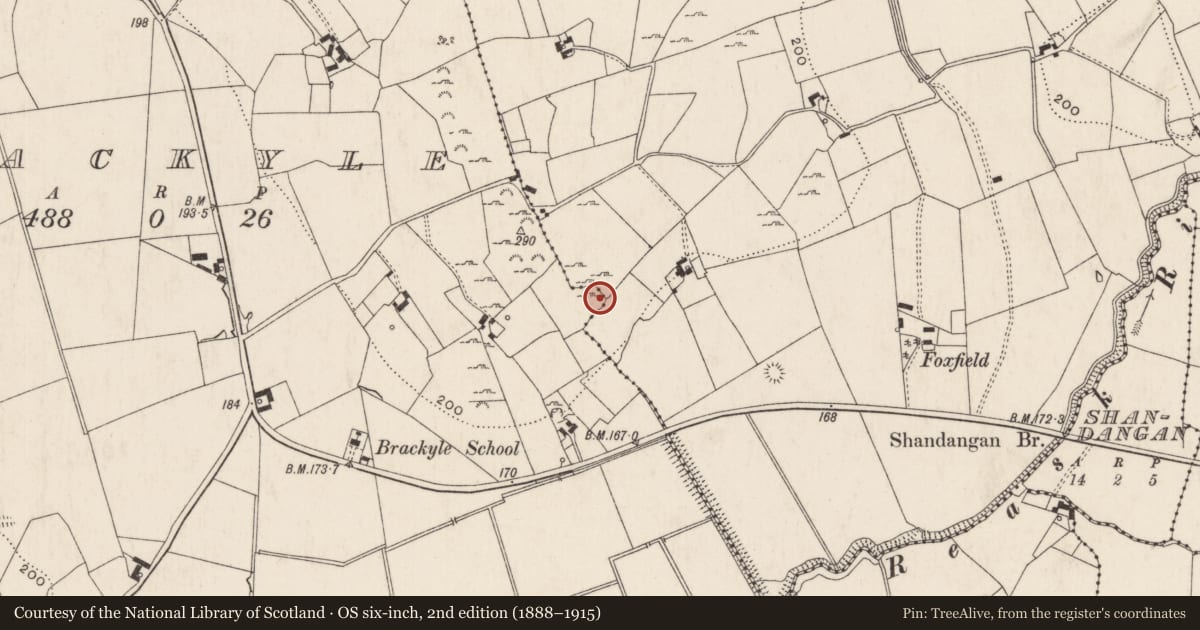 Ordnance Survey six-inch map, 2nd edition (1888–1915) covering the location of Enclosure, Brackyle, County Limerick, with a pin at the register's coordinates