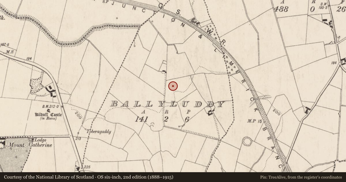 Ordnance Survey six-inch map, 2nd edition (1888–1915) covering the location of Enclosure, Ballyluddy, County Limerick, with a pin at the register's coordinates