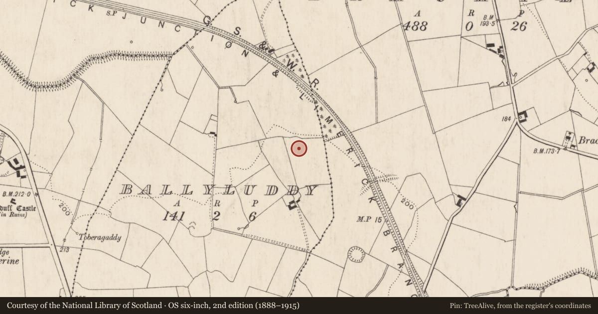 Ordnance Survey six-inch map, 2nd edition (1888–1915) covering the location of Barrow - ditch barrow, Ballyluddy, County Limerick, with a pin at the register's coordinates