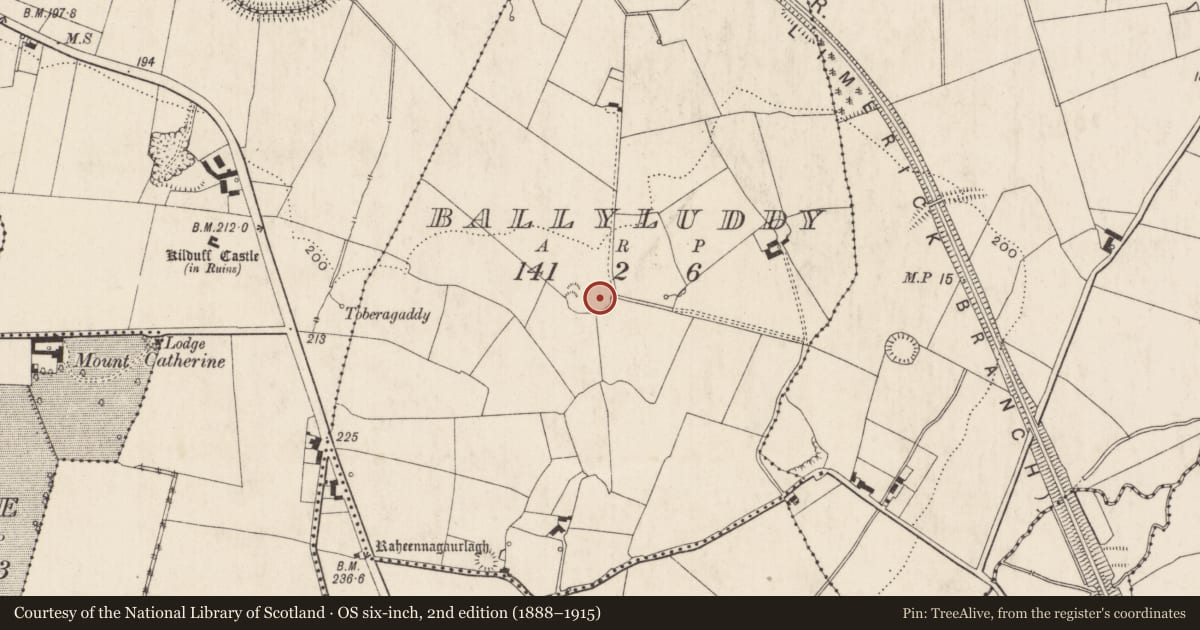 Ordnance Survey six-inch map, 2nd edition (1888–1915) covering the location of Enclosure, Ballyluddy, County Limerick, with a pin at the register's coordinates