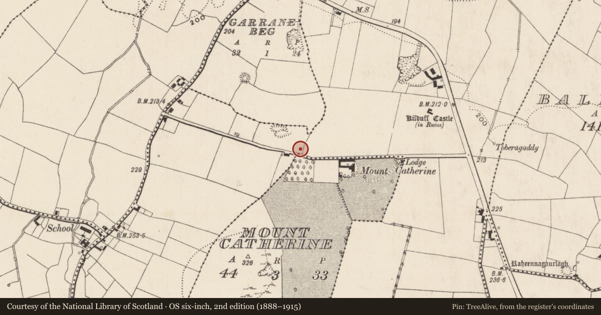 Ordnance Survey six-inch map, 2nd edition (1888–1915) covering the location of Enclosure, Kilduff, County Limerick, with a pin at the register's coordinates