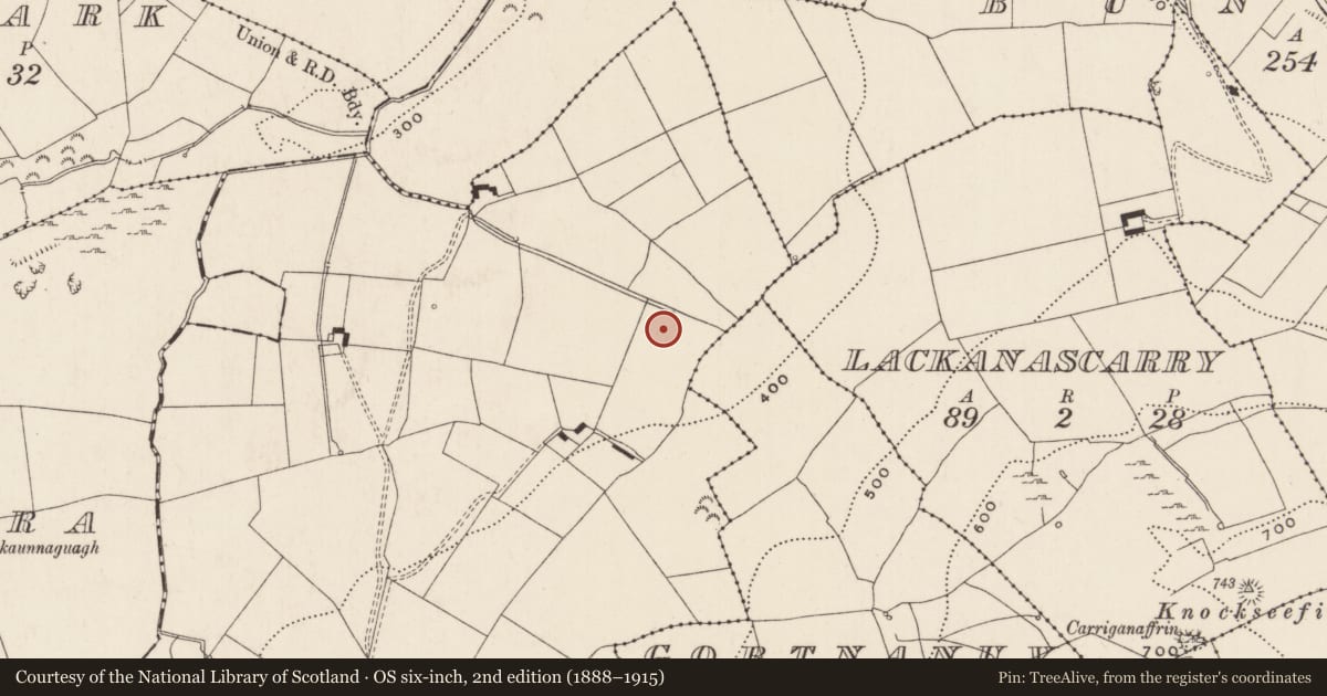Ordnance Survey six-inch map, 2nd edition (1888–1915) covering the location of Enclosure, Ballytrasna, County Limerick, with a pin at the register's coordinates