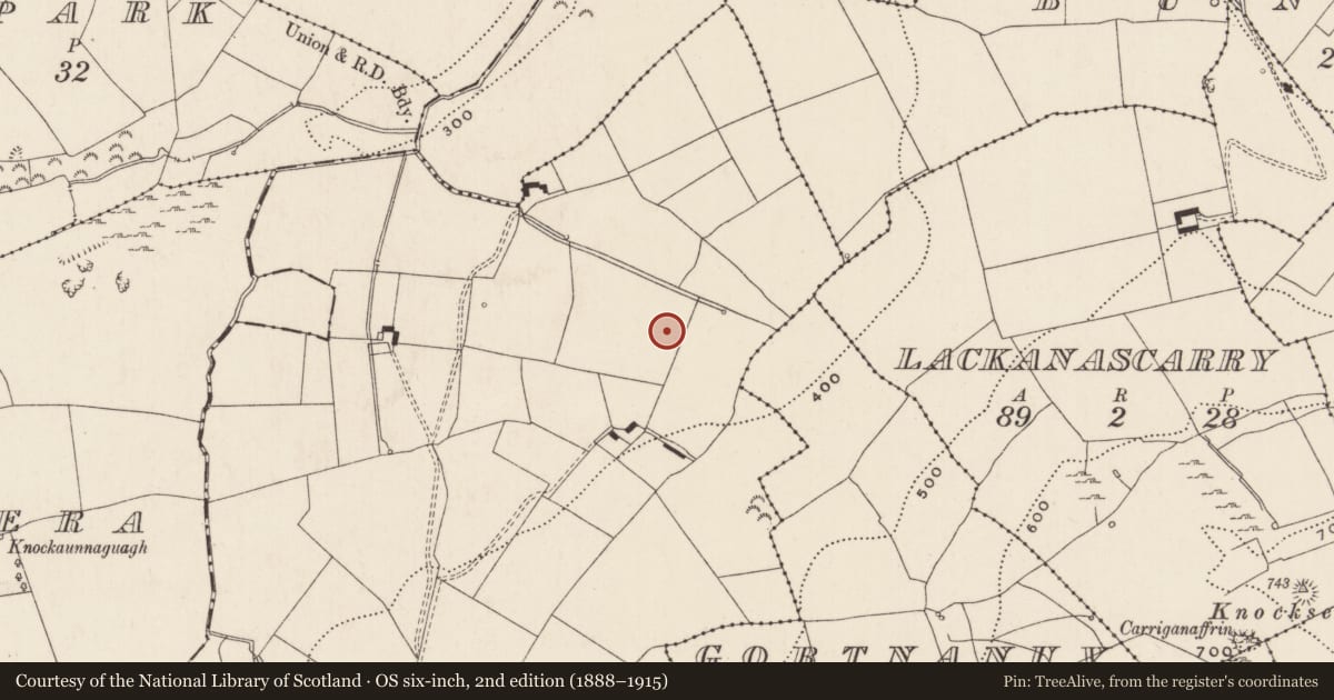 Ordnance Survey six-inch map, 2nd edition (1888–1915) covering the location of Enclosure, Ballytrasna, County Limerick, with a pin at the register's coordinates