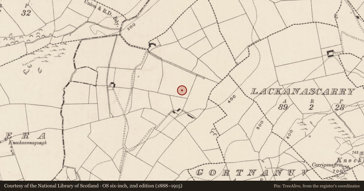 Ordnance Survey six-inch map, 2nd edition (1888–1915) covering the location of Enclosure, Ballytrasna, County Limerick, with a pin at the register's coordinates