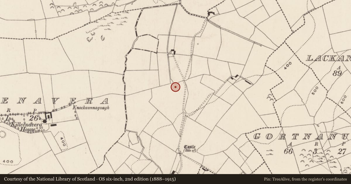 Ordnance Survey six-inch map, 2nd edition (1888–1915) covering the location of Enclosure, Ballytrasna, County Limerick, with a pin at the register's coordinates