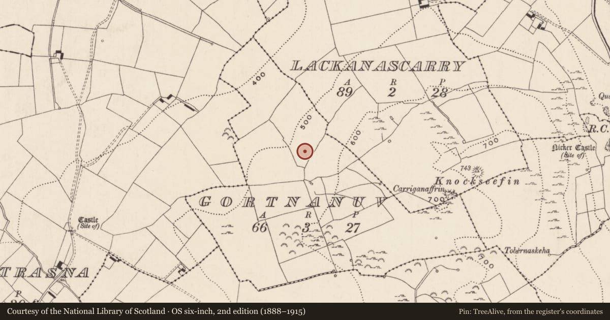Ordnance Survey six-inch map, 2nd edition (1888–1915) covering the location of Enclosure, Gortnanuv, County Limerick, with a pin at the register's coordinates