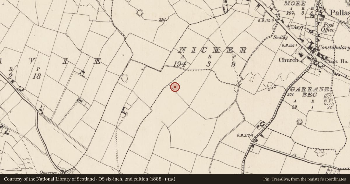Ordnance Survey six-inch map, 2nd edition (1888–1915) covering the location of Enclosure, Garrane More, County Limerick, with a pin at the register's coordinates