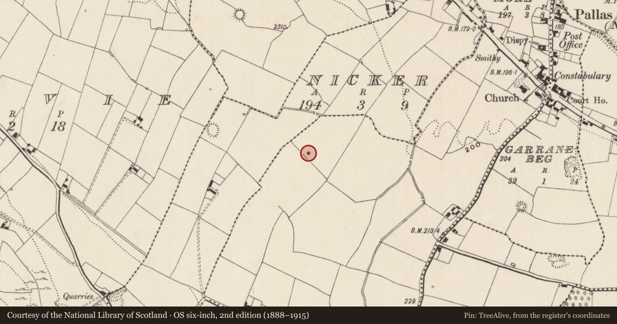 Ordnance Survey six-inch map, 2nd edition (1888–1915) covering the location of Enclosure, Garrane More, County Limerick, with a pin at the register's coordinates