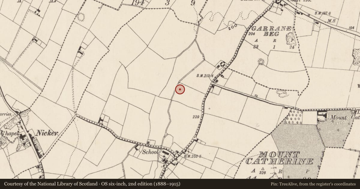 Ordnance Survey six-inch map, 2nd edition (1888–1915) covering the location of Enclosure, Garrane More, County Limerick, with a pin at the register's coordinates