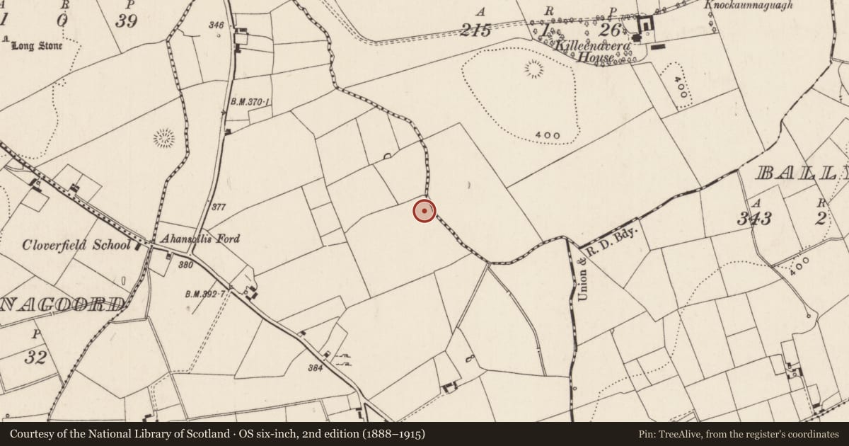 Ordnance Survey six-inch map, 2nd edition (1888–1915) covering the location of Barrow - ring-barrow, Boherroe, County Limerick, with a pin at the register's coordinates