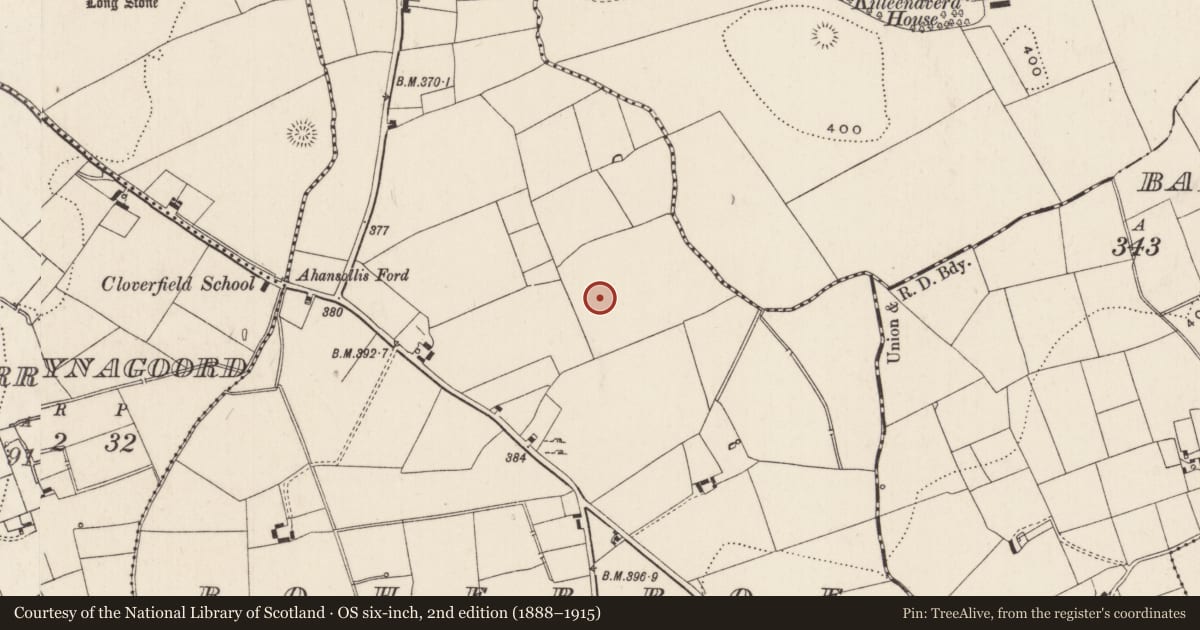 Ordnance Survey six-inch map, 2nd edition (1888–1915) covering the location of Barrow - ring-barrow, Boherroe, County Limerick, with a pin at the register's coordinates