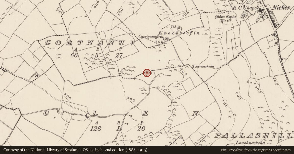 Ordnance Survey six-inch map, 2nd edition (1888–1915) covering the location of Enclosure, Gortnanuv, County Limerick, with a pin at the register's coordinates