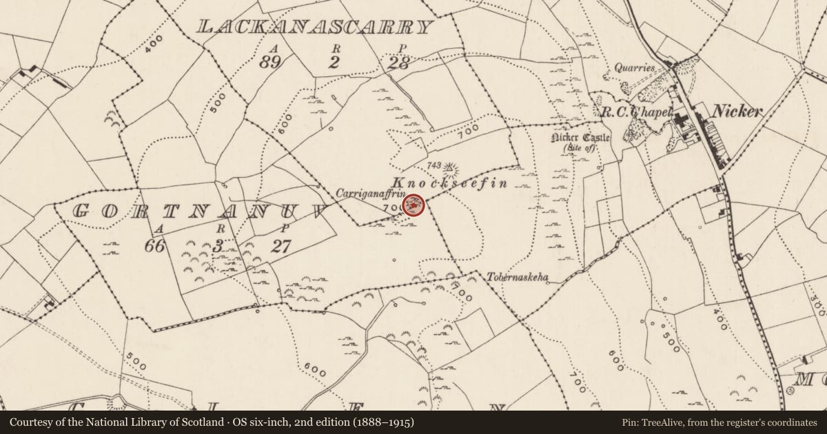 Ordnance Survey six-inch map, 2nd edition (1888–1915) covering the location of Mass-rock, Lackanascarry, County Limerick, with a pin at the register's coordinates