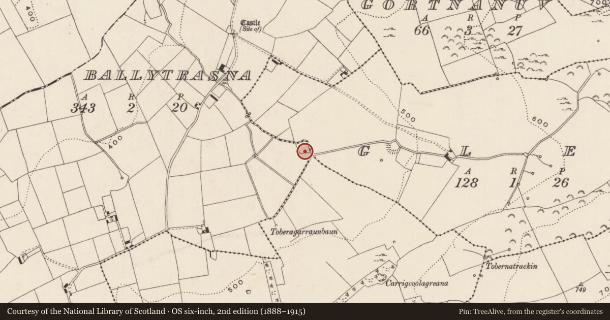 Ordnance Survey six-inch map, 2nd edition (1888–1915) covering the location of Enclosure, Ballytrasna, County Limerick, with a pin at the register's coordinates