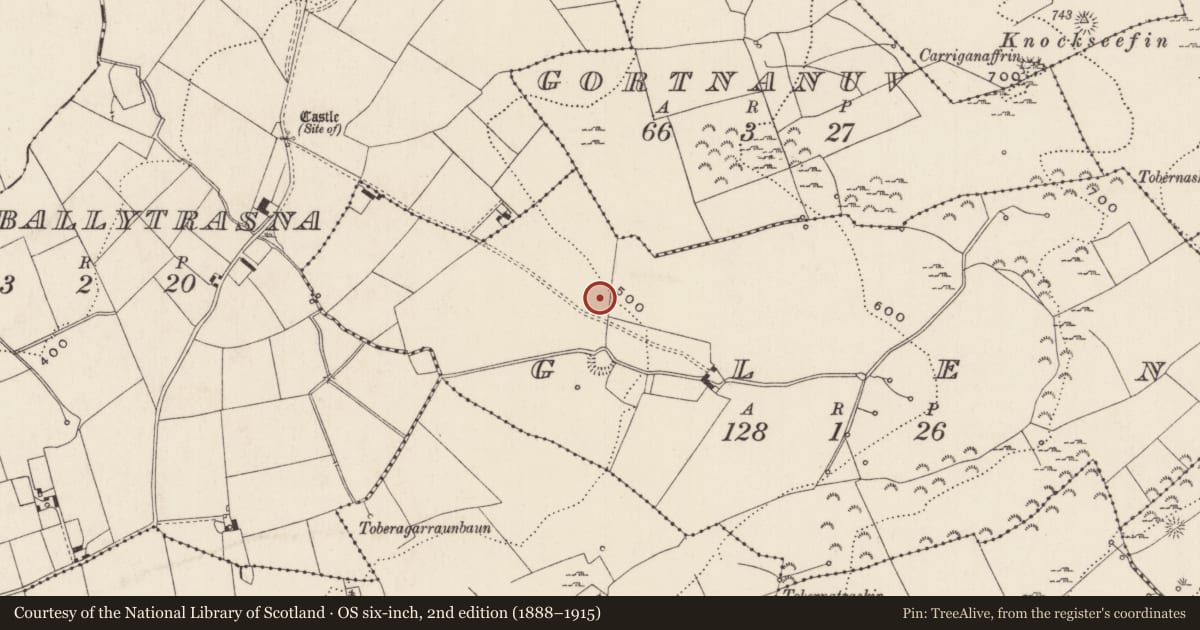Ordnance Survey six-inch map, 2nd edition (1888–1915) covering the location of Barrow - ring-barrow, Glen, County Limerick, with a pin at the register's coordinates