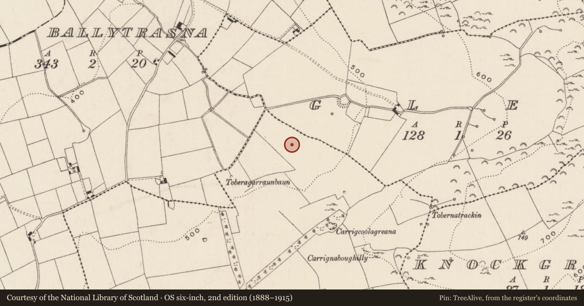 Ordnance Survey six-inch map, 2nd edition (1888–1915) covering the location of Barrow - ring-barrow, Knocknacrohy, County Limerick, with a pin at the register's coordinates