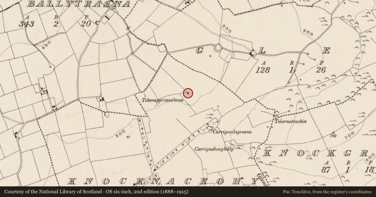 Ordnance Survey six-inch map, 2nd edition (1888–1915) covering the location of Barrow - ring-barrow, Knocknacrohy, County Limerick, with a pin at the register's coordinates