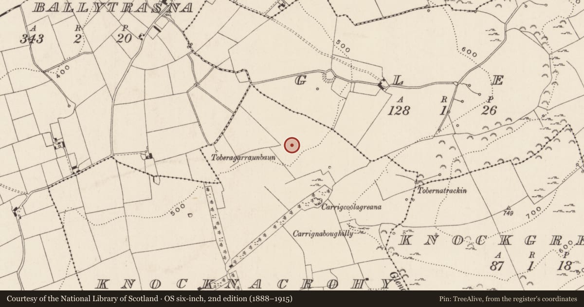 Ordnance Survey six-inch map, 2nd edition (1888–1915) covering the location of Barrow - ring-barrow, Knocknacrohy, County Limerick, with a pin at the register's coordinates