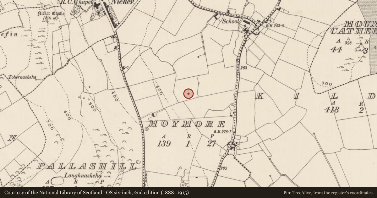Ordnance Survey six-inch map, 2nd edition (1888–1915) covering the location of Ringfort - unclassified, Moymore, County Limerick, with a pin at the register's coordinates