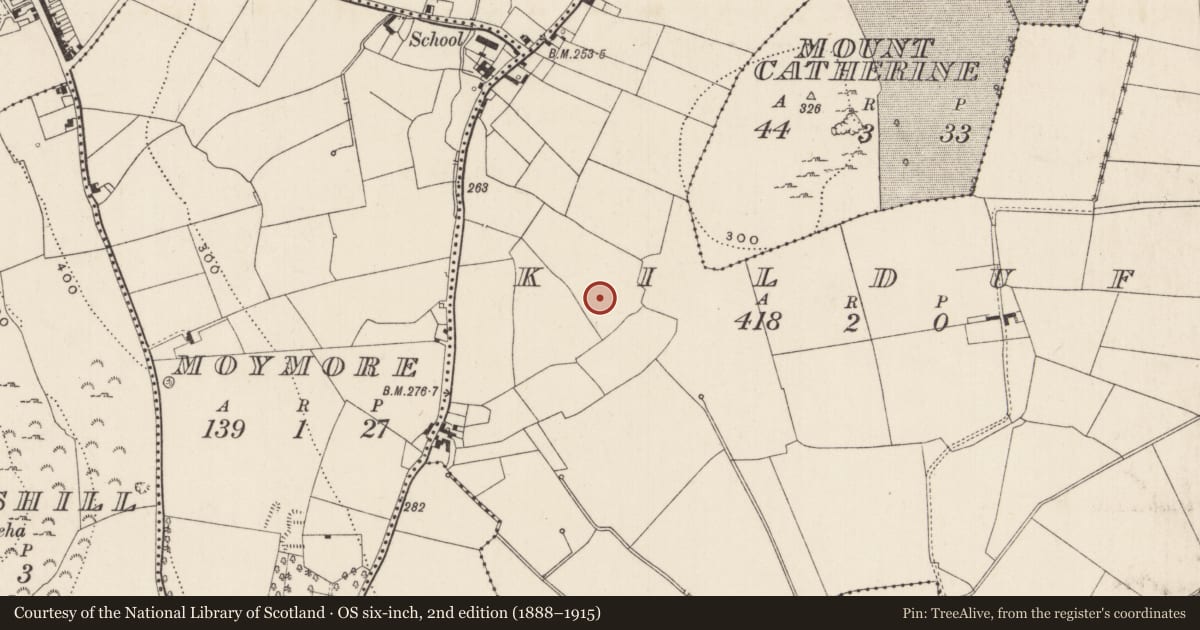 Ordnance Survey six-inch map, 2nd edition (1888–1915) covering the location of Barrow - ring-barrow, Kilduff, County Limerick, with a pin at the register's coordinates