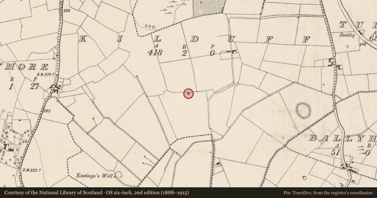 Ordnance Survey six-inch map, 2nd edition (1888–1915) covering the location of Enclosure, Kilduff, County Limerick, with a pin at the register's coordinates