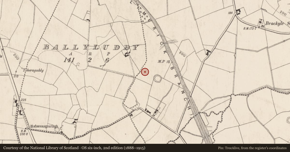 Ordnance Survey six-inch map, 2nd edition (1888–1915) covering the location of Enclosure, Brackyle, County Limerick, with a pin at the register's coordinates