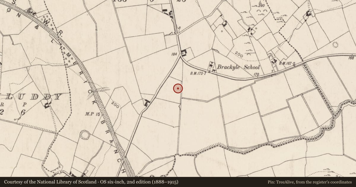 Ordnance Survey six-inch map, 2nd edition (1888–1915) covering the location of Moated site, Brackyle, County Limerick, with a pin at the register's coordinates