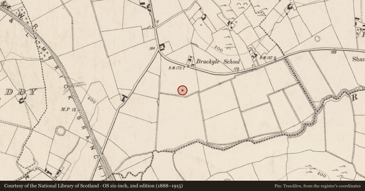 Ordnance Survey six-inch map, 2nd edition (1888–1915) covering the location of Barrow - unclassified, Brackyle, County Limerick, with a pin at the register's coordinates