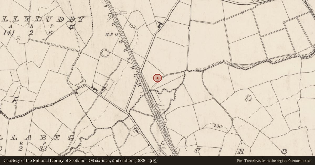 Ordnance Survey six-inch map, 2nd edition (1888–1915) covering the location of Enclosure, Brackyle, County Limerick, with a pin at the register's coordinates